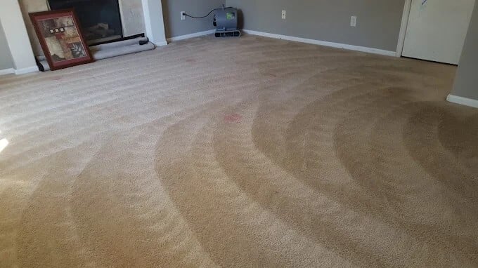 Carpet Cleaning Service in Denver Metro area. Give us a call today!
