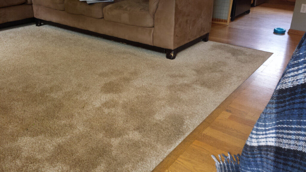 Reliable Carpet Cleaning Service in Denver, Lakewood, Castle Pines, and beyond! Call for a free quote today.