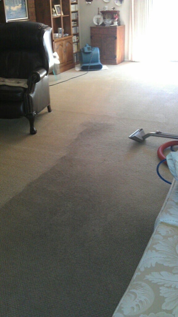 Carpet cleaning in Denver, CO. Request your free quote today!